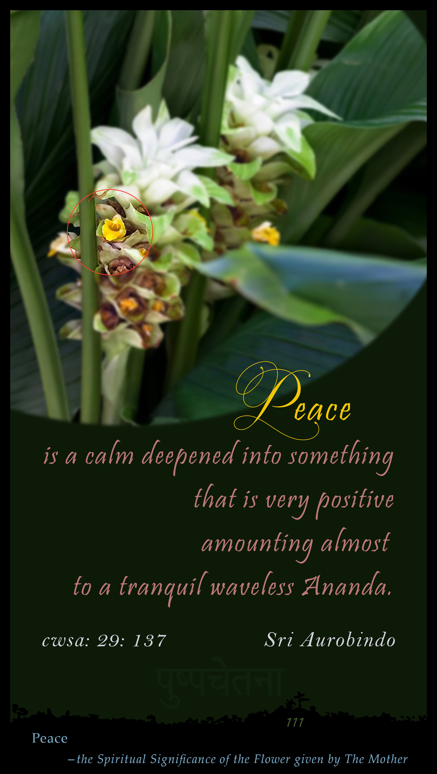 Peace